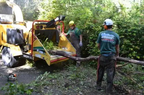 tree services Santee